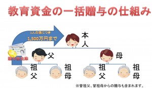 第1回 留学はおじいちゃん おばあちゃんからのプレゼント 贈与税の非課税制度 ジュニア留学 Net