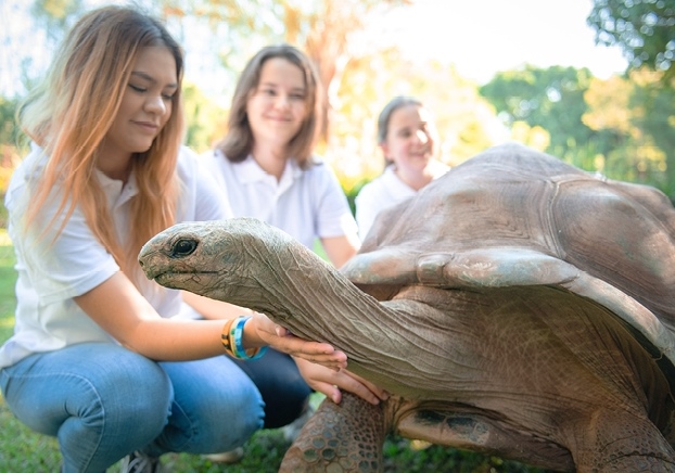 オーストラリア動物園での活動