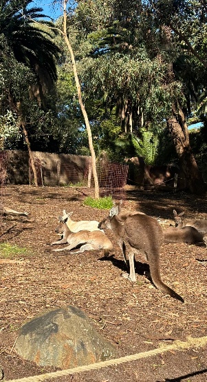 パース動物園